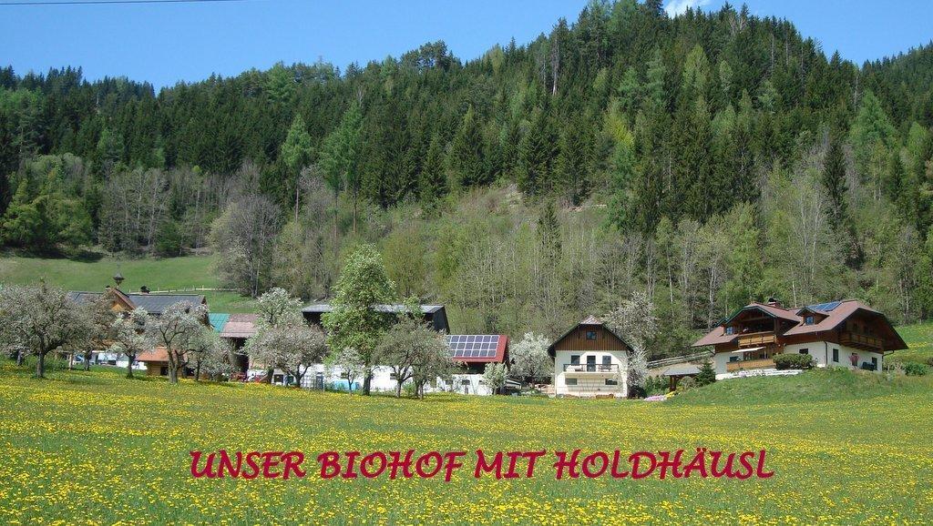 Holdhaeusl Leilighet Schladming Rom bilde